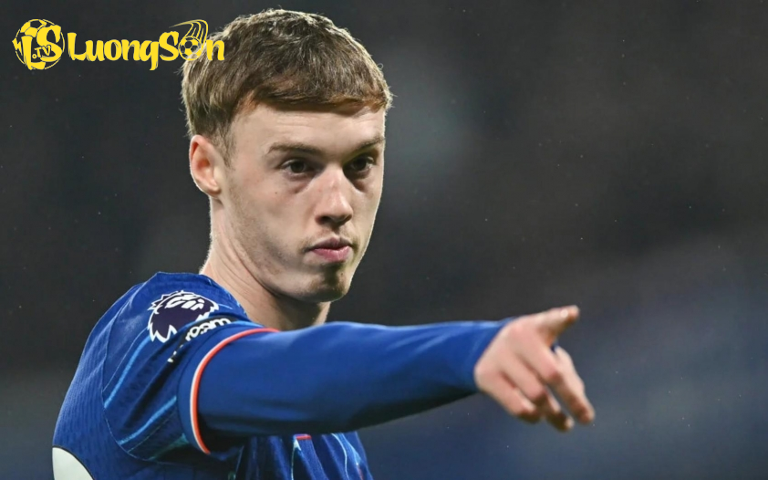 Palmer đã dính phải một chấn thương trong trận đấu với Bournemouth.